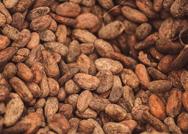 Roasted beans or seeds of Theobroma cacao or cocoa in a jute sack, close up