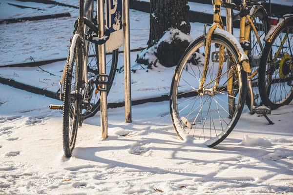 ラトビアのリガ 2022年11月20日 冬の雪に覆われたチェーンとロッカーで結ばれた古い自転車 — ストック写真
