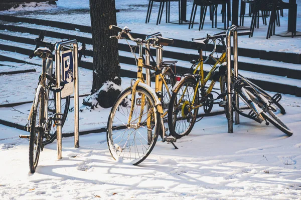 Рига Латвия Ноября 2022 Года Старые Велосипеды Завязанные Цепью Шкафчики — стоковое фото