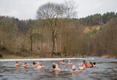 Vilnius, Lithuania - January 15 2023: Group of people ice bathing together in the cold water of a river in a forest. Wim Hof Method, cold therapy, breathing techniques, yoga and meditation