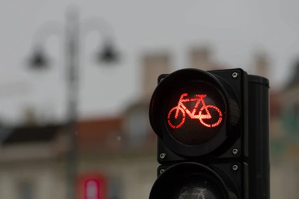 Sustainable transport. Bicycle traffic signal, red light, stop sign, road bike, free bike zone or area, bike sharing, close up