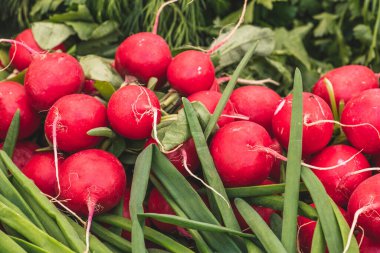 Taze turplar, sokağın yiyecek pazarında salata ve marul arasında yenebilir sebze kökü.