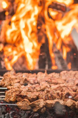 Domuz eti şişi, mangalda kızartılmış ya da kızartılmış. Açık ateş ve alevlerde yabalarla mangal, şiş ya da shashlik veya açık hava pikniğinde. Yaklaş, dikey.