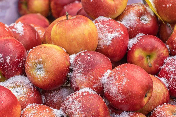 Fresh red apples covered by the snow in a farmer agricultural open air market, seasonal healthy food. Concept of biological, bio products, bio ecology, grown by yourself, vegetarians