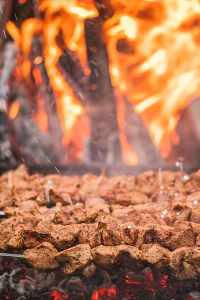 Espetos Carne Porco Grelhados Assados Num Churrasco Com Forquilhas Numa — Fotografia de Stock