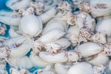 Bari, Puglia, İtalya 'da bir sokak balığı pazarında taze çiğ mürekkep balığı, sepya veya mürekkep balığı satmak için.