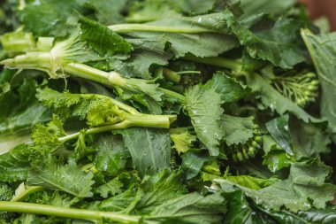 Cime di rapa, şalgam yeşili, rapini veya brokoli hahahamı bir sokak yiyecek pazarında, yeşil çarmıhlı sebze, sebzeler, Akdeniz mutfağı, Puglia, İtalya