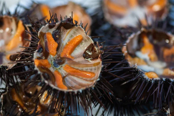 stock image Sea urchins with orange eggs in a plat ready to eat in a fish market, or fishery, sea fruit, sushi, close up