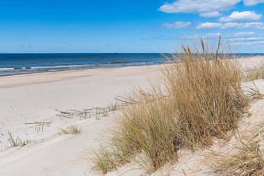 Güzel kumlu sahil kuru ve sarı çimenler, rüzgarda savrulan sazlar, Palanga, Klaipeda, Litvanya 'da Baltık Denizi' nde dalgalı mavi deniz