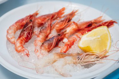 Bari, Puglia, İtalya 'da bir balık pazarında limon ve buzla yenmeye hazır taze karides tabağı.