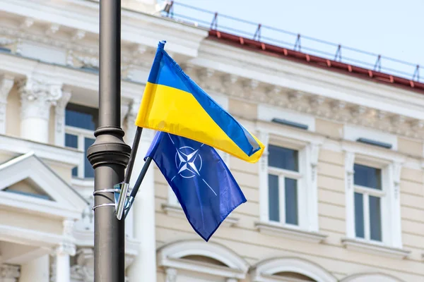 Vilnius, Litvanya - 4 Temmuz 2023: NATO ve Ukrayna bayrakları 2023 NATO zirvesi sırasında Avrupa 'nın Vilnius kentinde