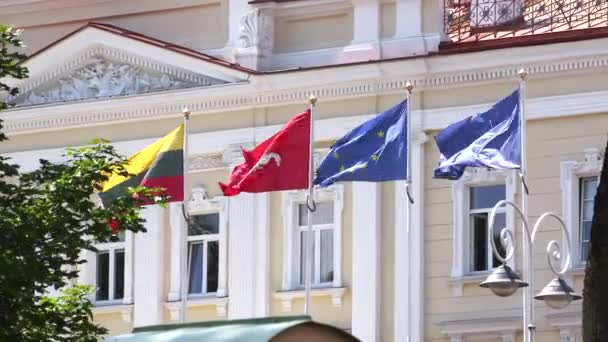Vilnius Litauen Juli 2023 Flaggen Der Nato Der Organisation Des — Stockvideo