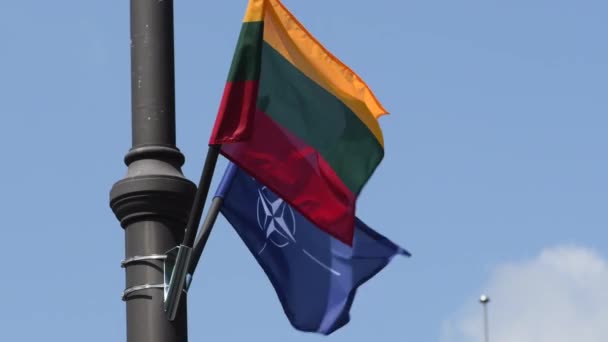 빌뉴스 리투아니아 2023년 북대서양 리투아니아의 국기가 리투아니아의 빌뉴스 중심에서 2023년 — 비디오