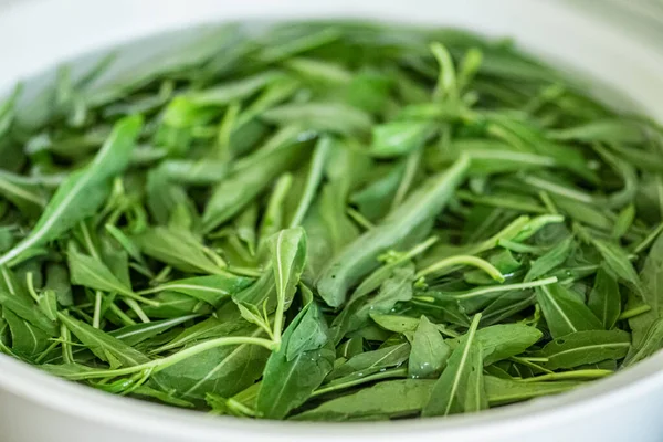 新鮮な緑色のロケットの葉は サラダとして食べる前にきれいな水のボウルに洗い流されます — ストック写真