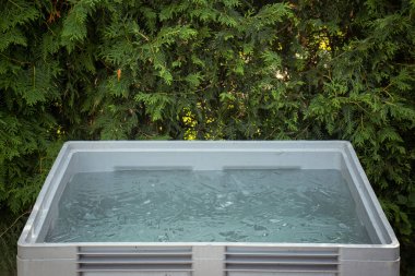 Portatif plastik küvet ya da bir bahçede buz küpleriyle dolu soğuk suda buz banyosu yapmaya hazır bir akvaryum. Wim Hof Yöntemi, soğuk terapi, solunum teknikleri, yoga ve meditasyon