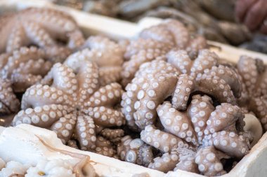 Akdeniz taze ahtapotu Bari, Puglia, İtalya 'da bir balık pazarında satılıyor.