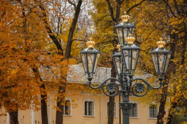 Norveç, Oslo 'da sonbaharda ağaçlar ve sarı yapraklarla dolu bir parkta güzel, eski bir sokak lambası. 