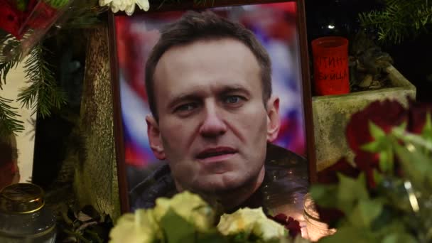Vilnius Litvanya Şubat 2024 Rusya Nın Muhalefet Lideri Aleksey Navalny — Stok video