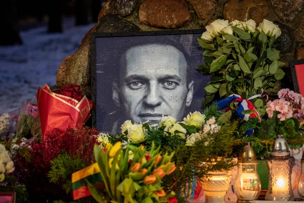 stock image Vilnius, Lithuania - February 20 2024: Flowers and candles laid at spontaneous Vilnius memorial for Russian opposition leader Alexei Navalny, with portrait wet from the snow and raindrops
