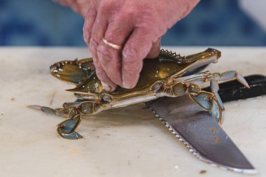 Callinectes sapidus, blue crab, invasive species of crab native to the waters of the western Atlantic Ocean and the Gulf of Mexico in a fish shop or market. Seller killing it using a knife clipart