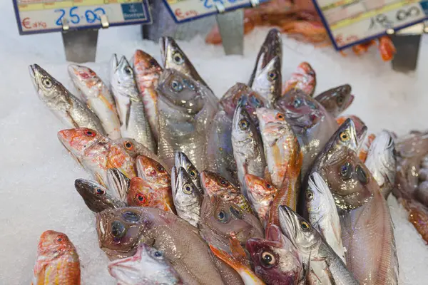 Stock image Various fresh fish displayed on the ice on the table for sale in a fish shop or market. Goatfish or red mullet, cod fish and sole