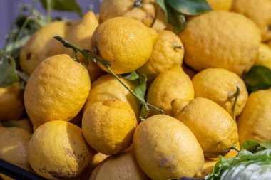 Meyve ve sebze pazarında sergilenen organik sarı limonlar