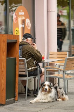 Vilnius, Litvanya - 18 Mayıs 2025: Yaşlı bir beyefendi köpeğiyle birlikte bir fast food restoranının önünde abur cubur yiyor