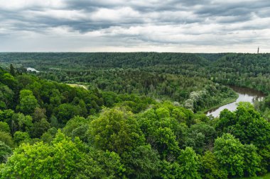 Sigulda, Letonya 'daki Gauja Ulusal Parkı ve Gauja Nehri' nin muhteşem hava manzarası