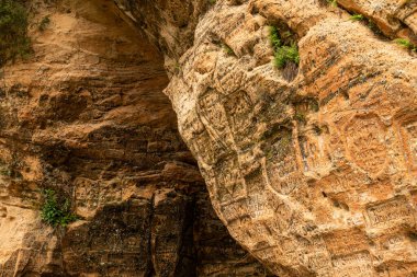 Duvarlarında yazılar olan Gutman Mağarası, Baltık ülkelerinin en geniş ve en yüksek mağarası, Sigulda, Letonya yakınlarındaki Gauja Ulusal Parkı.