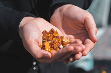 Kehribar 'ın güzel parçaları bir kızın ya da kadının ellerinde.