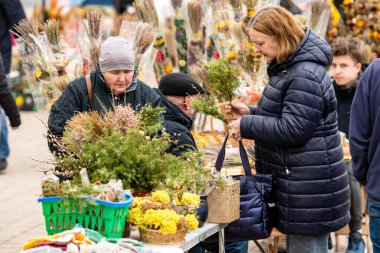 Vilnius, Litvanya - 13 Nisan 2025: Pazar günü Litvanya 'nın başkenti Vilnius' ta bulunan katedralin yakınındaki kurutulmuş çiçek ve bitkilerden yapılan geleneksel el işi süslemeler olan verbo satan yaşlı kadın