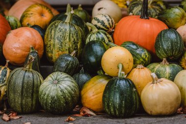 A colorful assortment of pumpkins and gourds in various shapes, sizes, and colors. The image captures the essence of autumn harvest