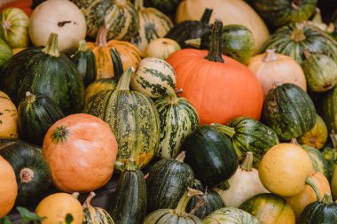A colorful assortment of pumpkins and gourds in various shapes, sizes, and colors. The image captures the essence of autumn harvest
