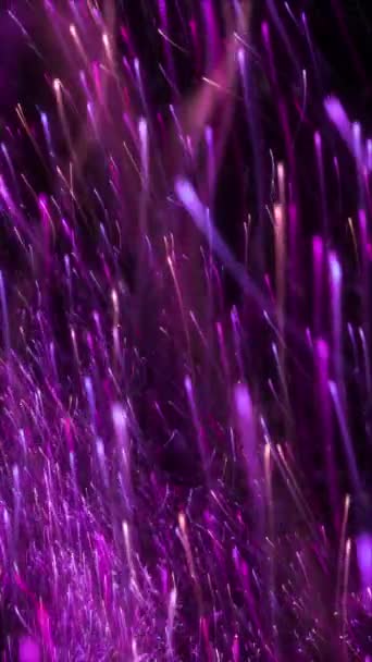 Roxo Enxame Rosa Aumento Das Faixas Luz Partículas Brilhantes Mostra — Vídeo de Stock
