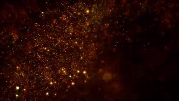 Zlatá Černá Stoupající Abstraktní Magické Hvězdy Částice Světla Víří Smyčka — Stock video