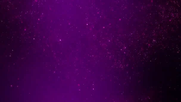 Essaim Abstrait Particules Étoiles Pourpres Flottabilité Liquide Élégantes Lumières Cosmiques — Video