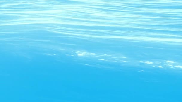 Agua Placa Posterior Cosmética Azul Con Ondas Suaves Superficie Ondulada — Vídeo de stock