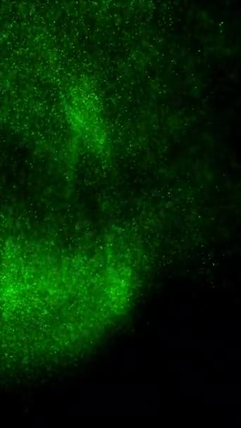 渦巻く明るい緑の粒子の抽象的な包囲されたVjループの背景 垂直コンセプト3Dアニメーション壁紙バックドロップ 魔法のサイケデリックな輝くスパークルダストショーケースとコピースペースバックプレート — ストック動画