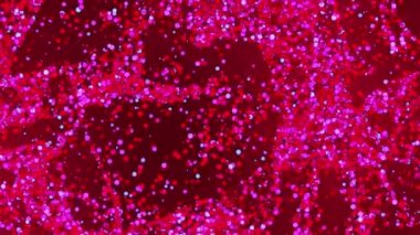 Soyut çember animasyonu. Renkli kopyalama alanı arkaplan deseni, aydınlatılmış ışık parlıyor ve metin için yer. İniş sayfası, grafik tasarımı, afiş ve poster için 3B animasyon