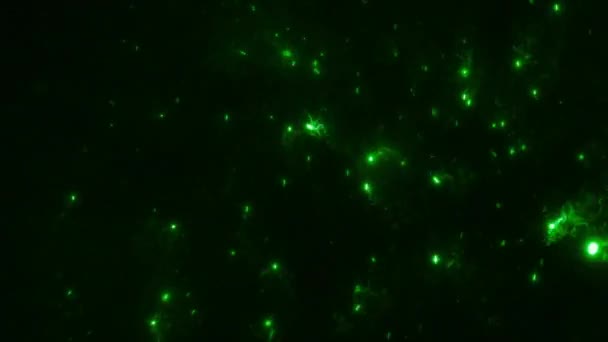 Gwiazdy Pył Galaktyka Animacja Tło Pył — Wideo stockowe