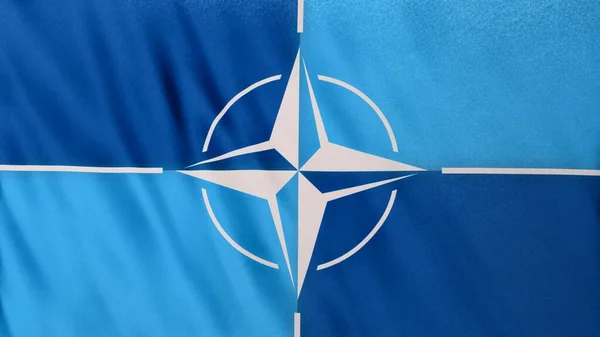 Kijev Ukrajna Február 2022 Nato Katonai Szövetség Zászló Közelkép Uhd — Stock Fotó