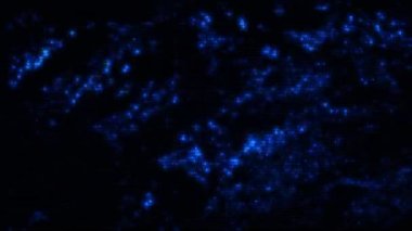 İltica eden HUD arayüzü soyut dijital kodlu 3d animasyon. Bilgisayar arızası kavramını, uzaylı iletişiminin şifreleme şifresi ve parçalarıyla örtüşen siber punk bilgisayar erimesi olarak algıla