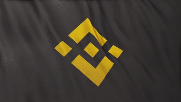 Logo Ikon Bnb Binance Coin Pada Latar Banner Bendera Abu — Stok Video