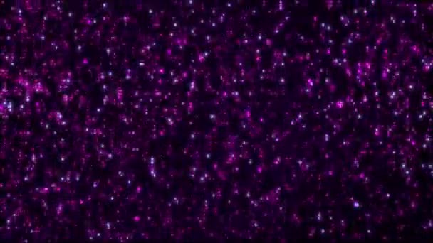 Абстрактний Фіолетовий Комп Ютер Шістнадцяткового Коду Повнокадровий Фон Концепція Анімації — стокове відео