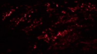 İltica eden HUD arayüzü soyut dijital kodlu 3d animasyon. Bilgisayar arızası kavramını, uzaylı iletişiminin şifreleme şifresi ve parçalarıyla örtüşen siber punk bilgisayar erimesi olarak algıla