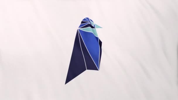 Ravencoin Lite Rvl Logotipo Ícone Moeda Fundo Banner Bandeira Branca — Vídeo de Stock