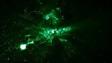 Dönen Soyut Enerji Yeşil Parlayan Parçacık Nükleus Arkaplanı. Fotosentetik enerji üretiminde biyolojik yakıt ve alglerle çalışan yakıt hücreleri için soyut 3D illüstrasyon döngüsü