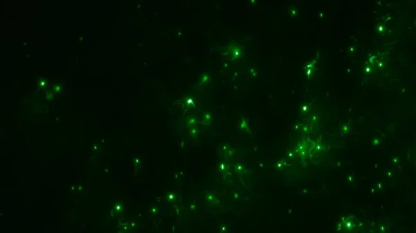 绿色发光的藻类颗粒能量横幅背景 宏观电子燃料和微生物生物燃料研究的三维图解概念 — 图库照片