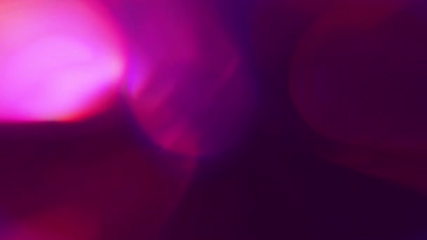 Abstraktní Fialová Purpurová Růžová Bokeh Smyčka Efekt Pozadí Překrývají Měkký — Stock video