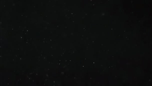 星の塵と銀河のアニメーションの背景 — ストック動画